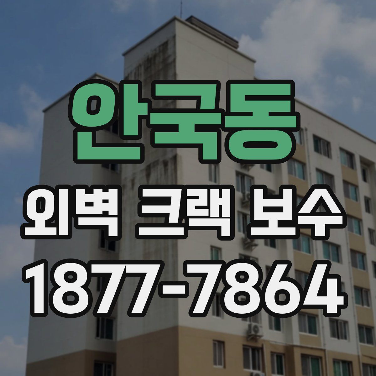 안국동 외벽 크랙 보수