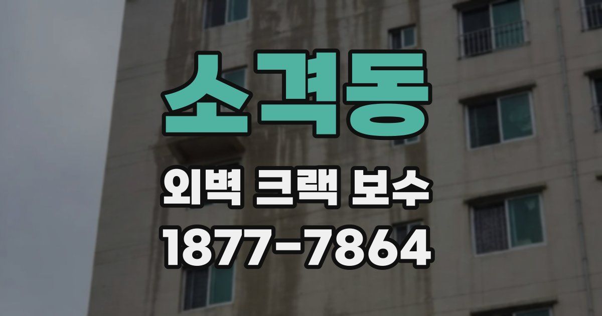소격동 외벽 크랙 보수