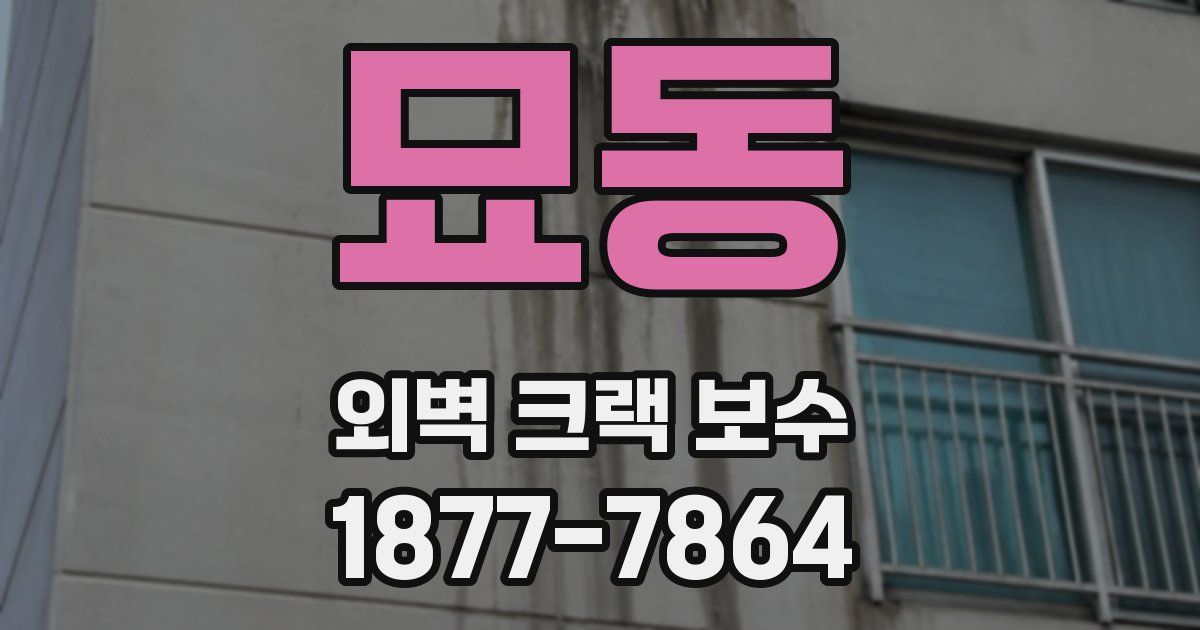 묘동 외벽 크랙 보수