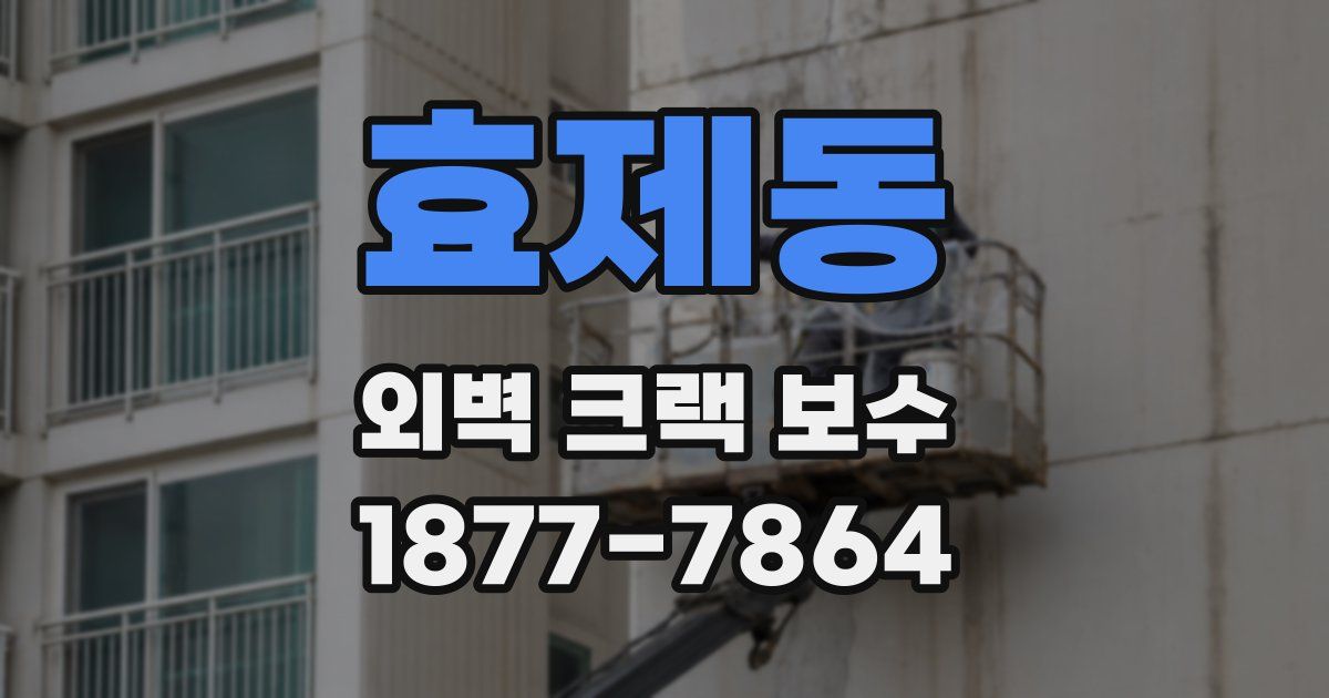 효제동 외벽 크랙 보수
