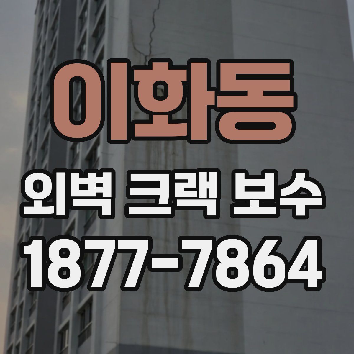 이화동 외벽 크랙 보수
