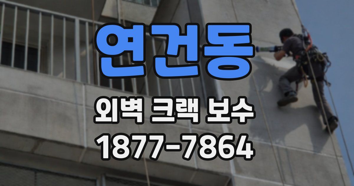 연건동 외벽 크랙 보수
