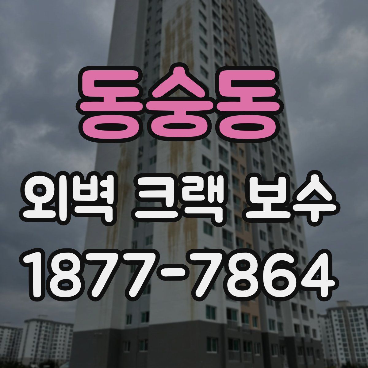 동숭동 외벽 크랙 보수