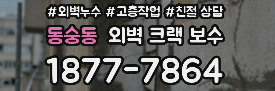 동숭동 외벽 크랙 보수