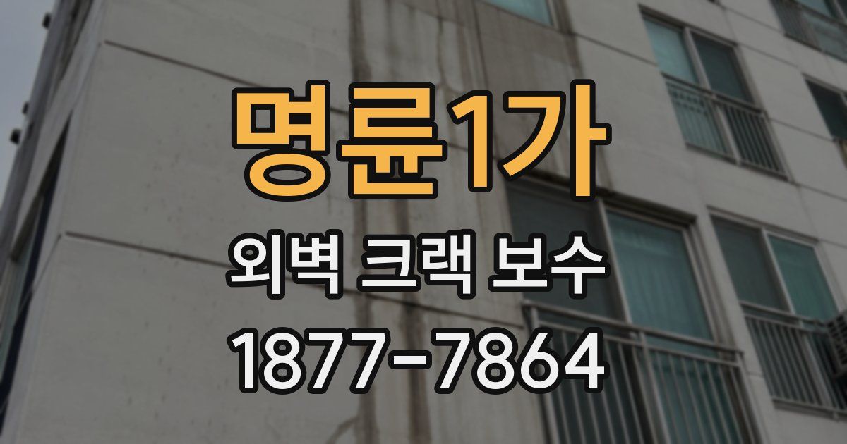 명륜1가 외벽 크랙 보수
