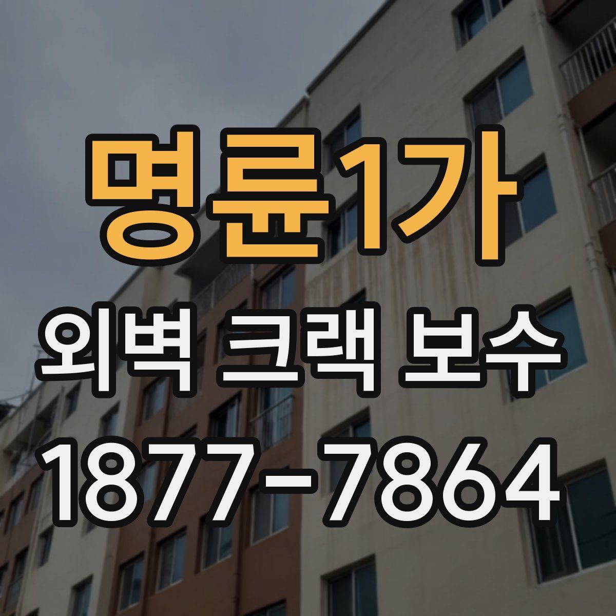 명륜1가 외벽 크랙 보수