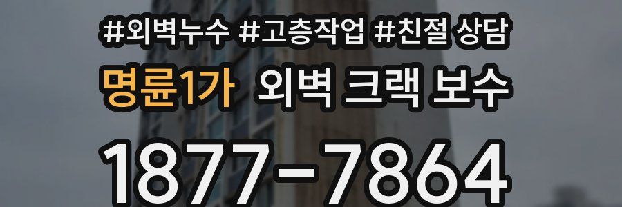 명륜1가 외벽 크랙 보수