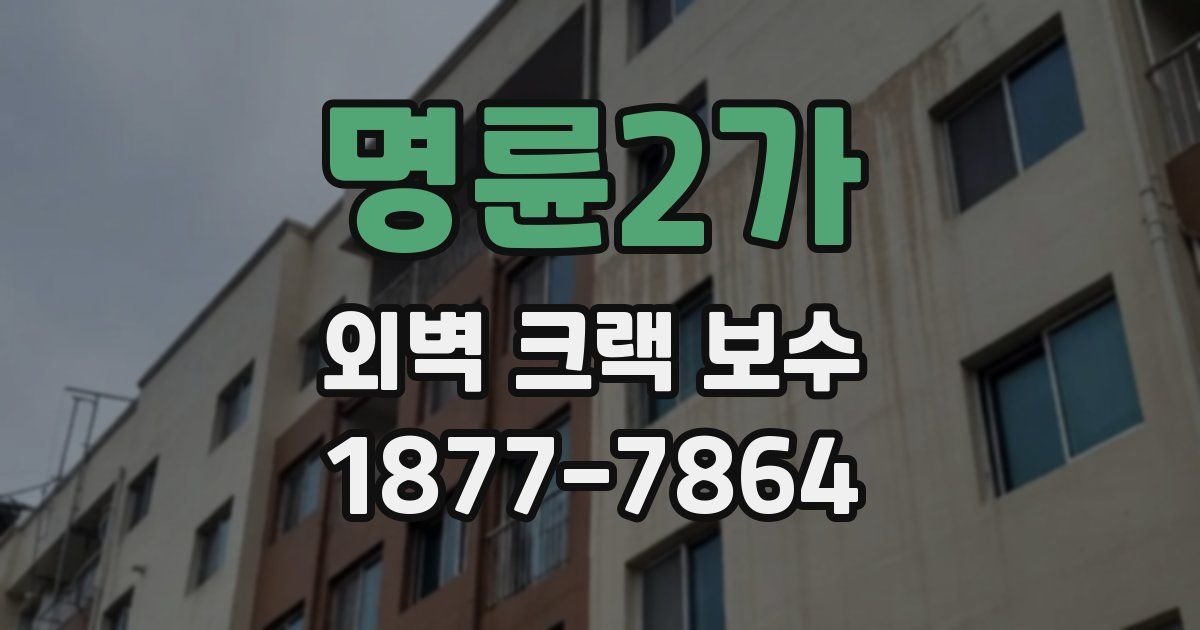 명륜2가 외벽 크랙 보수