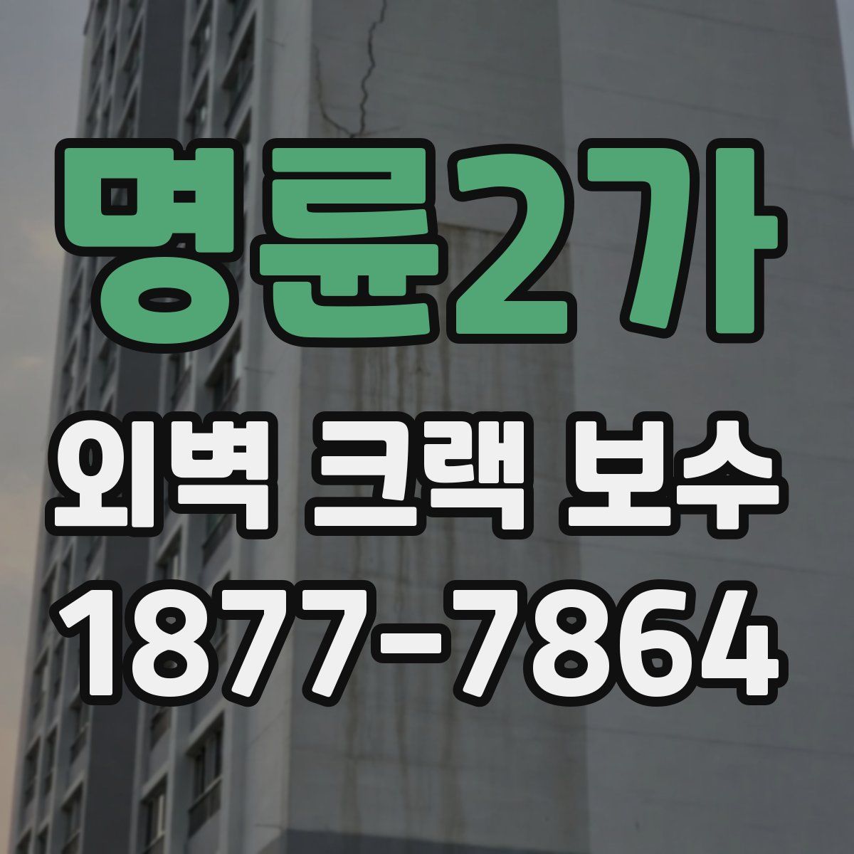 명륜2가 외벽 크랙 보수