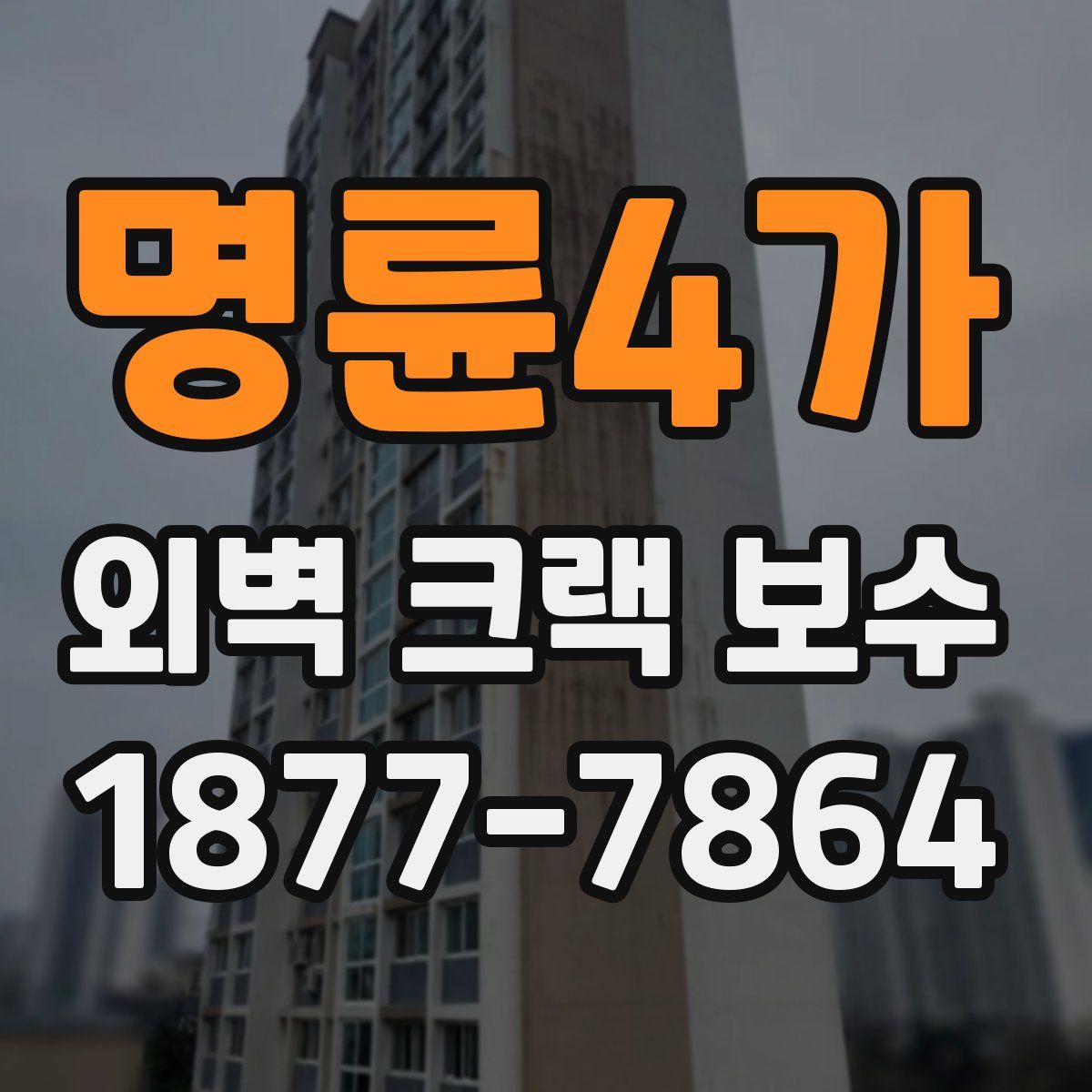 명륜4가 외벽 크랙 보수