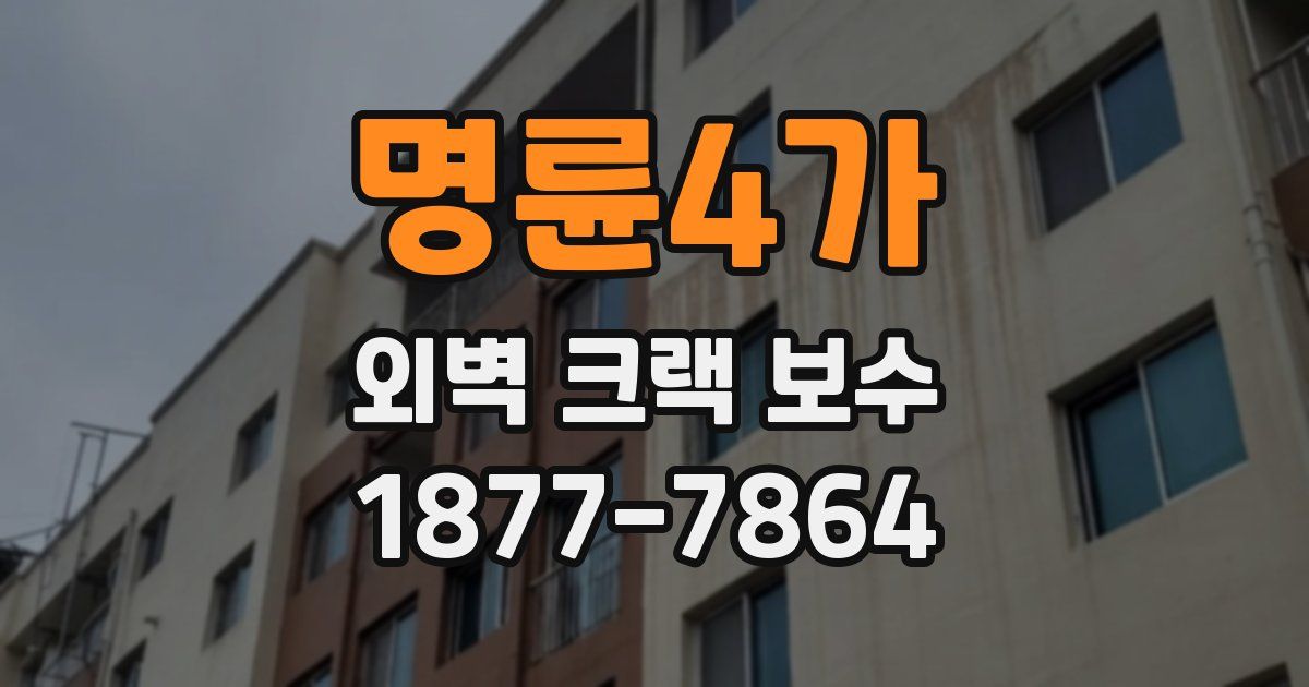 명륜4가 외벽 크랙 보수