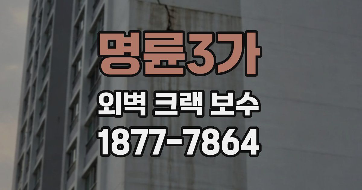 명륜3가 외벽 크랙 보수