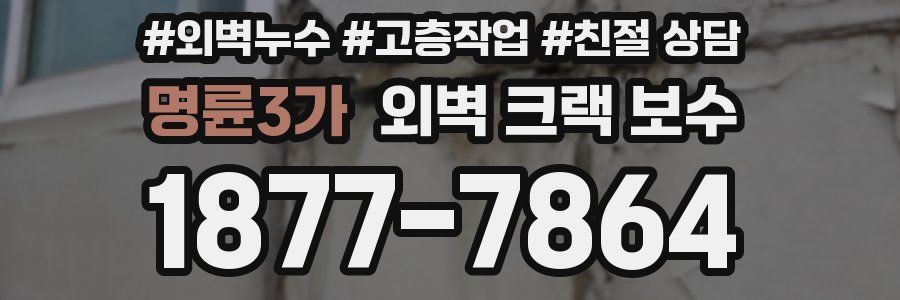 명륜3가 외벽 크랙 보수