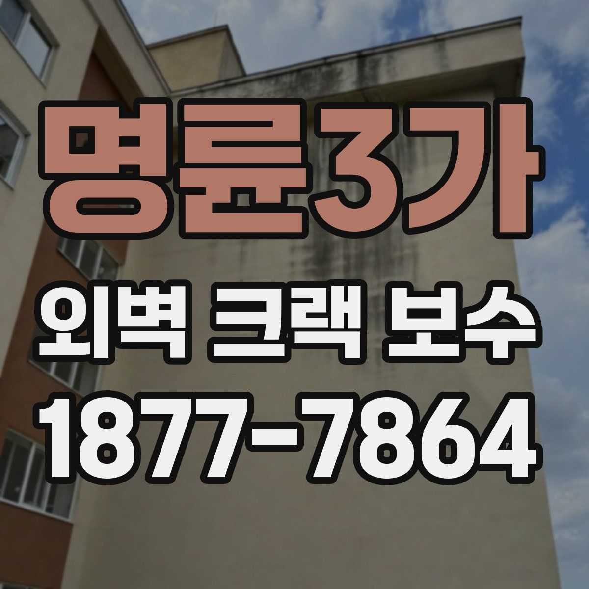 명륜3가 외벽 크랙 보수