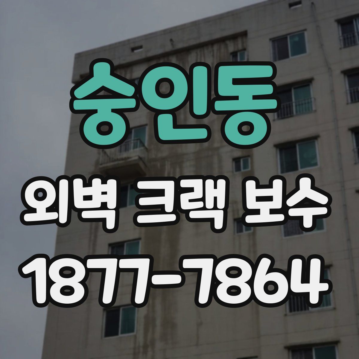 숭인동 외벽 크랙 보수