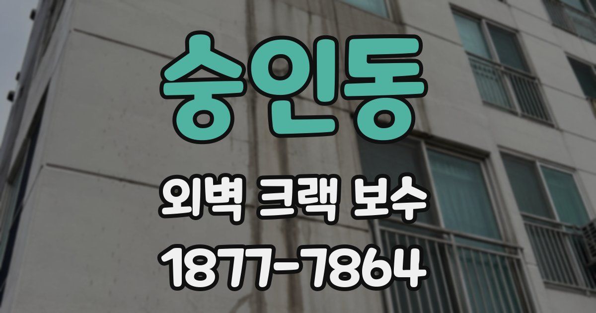 숭인동 외벽 크랙 보수