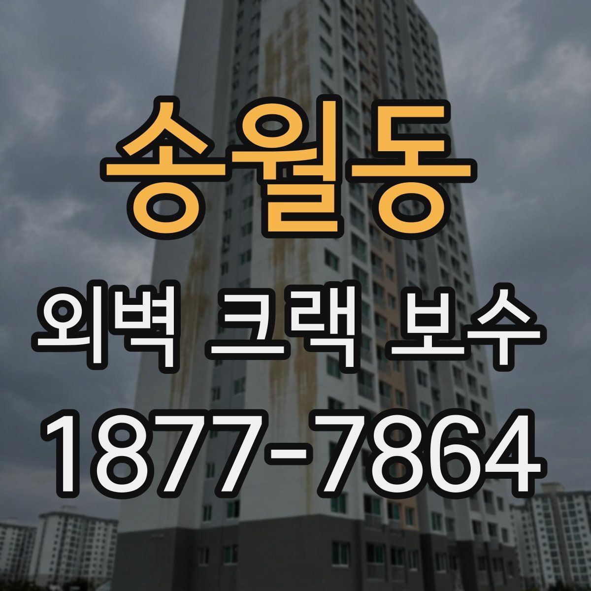 송월동 외벽 크랙 보수