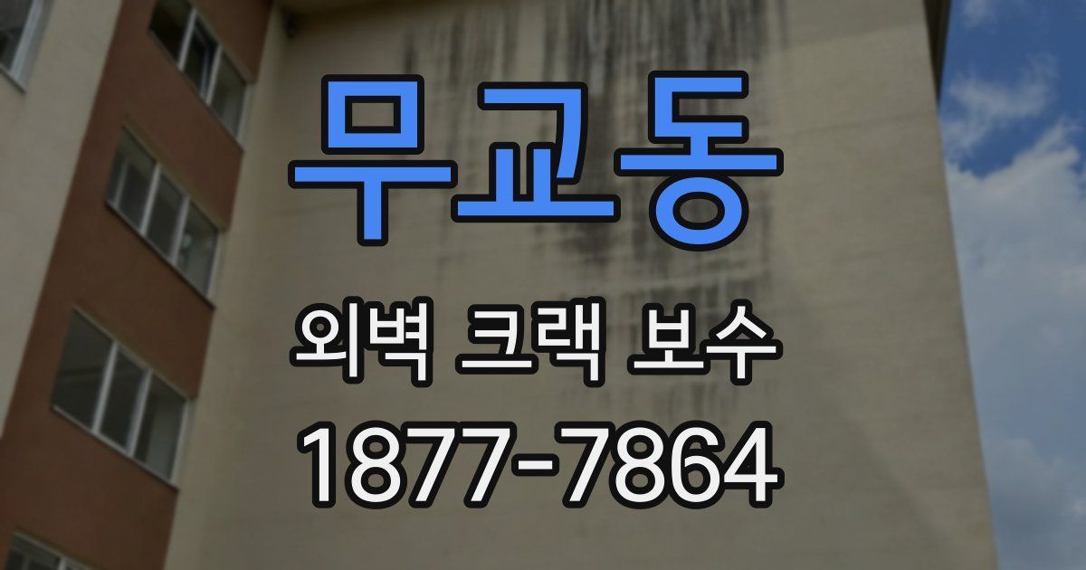 무교동 외벽 크랙 보수