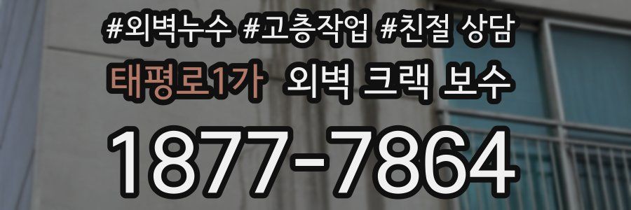 태평로1가 외벽 크랙 보수