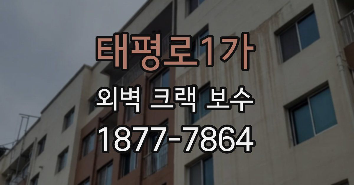 태평로1가 외벽 크랙 보수
