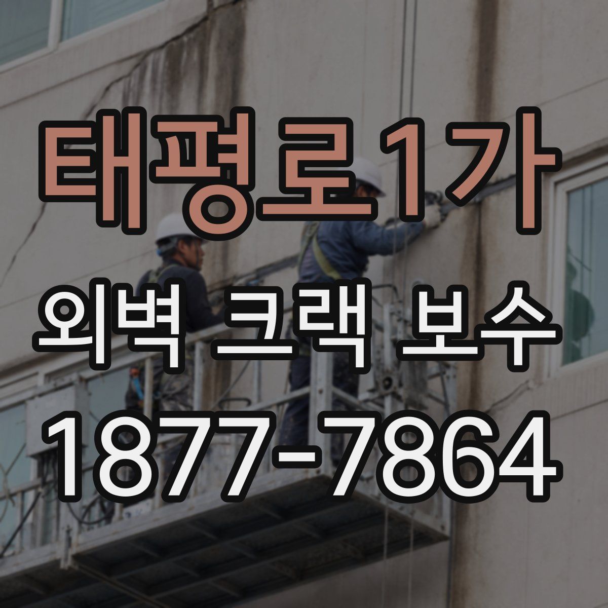 태평로1가 외벽 크랙 보수