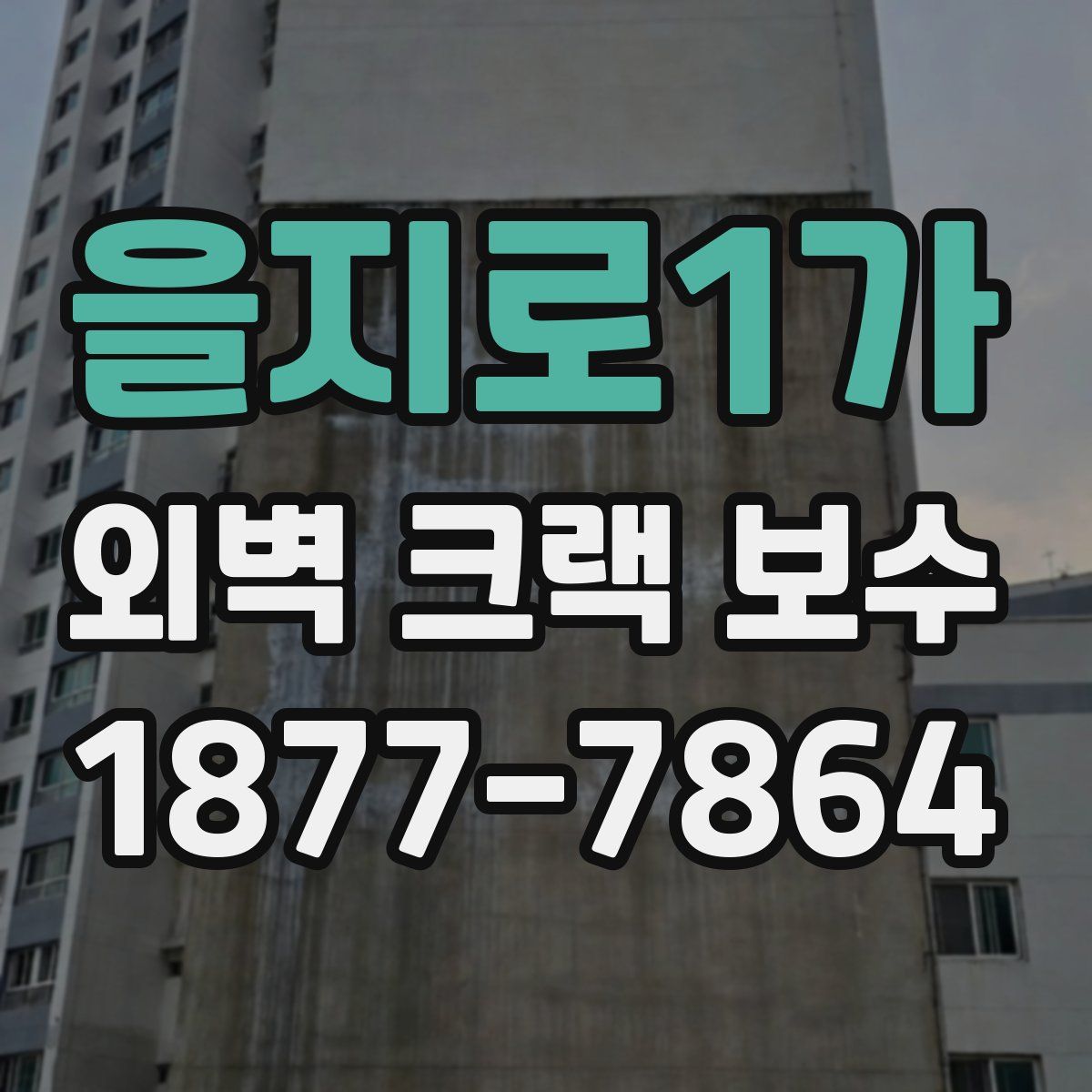 을지로1가 외벽 크랙 보수