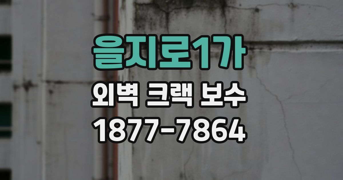 을지로1가 외벽 크랙 보수