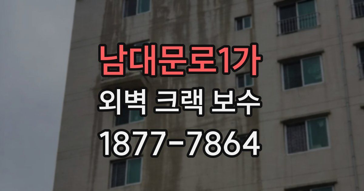 남대문로1가 외벽 크랙 보수