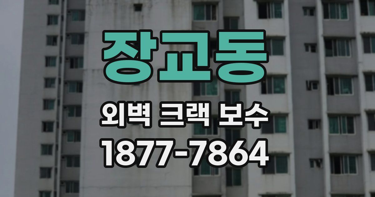 장교동 외벽 크랙 보수