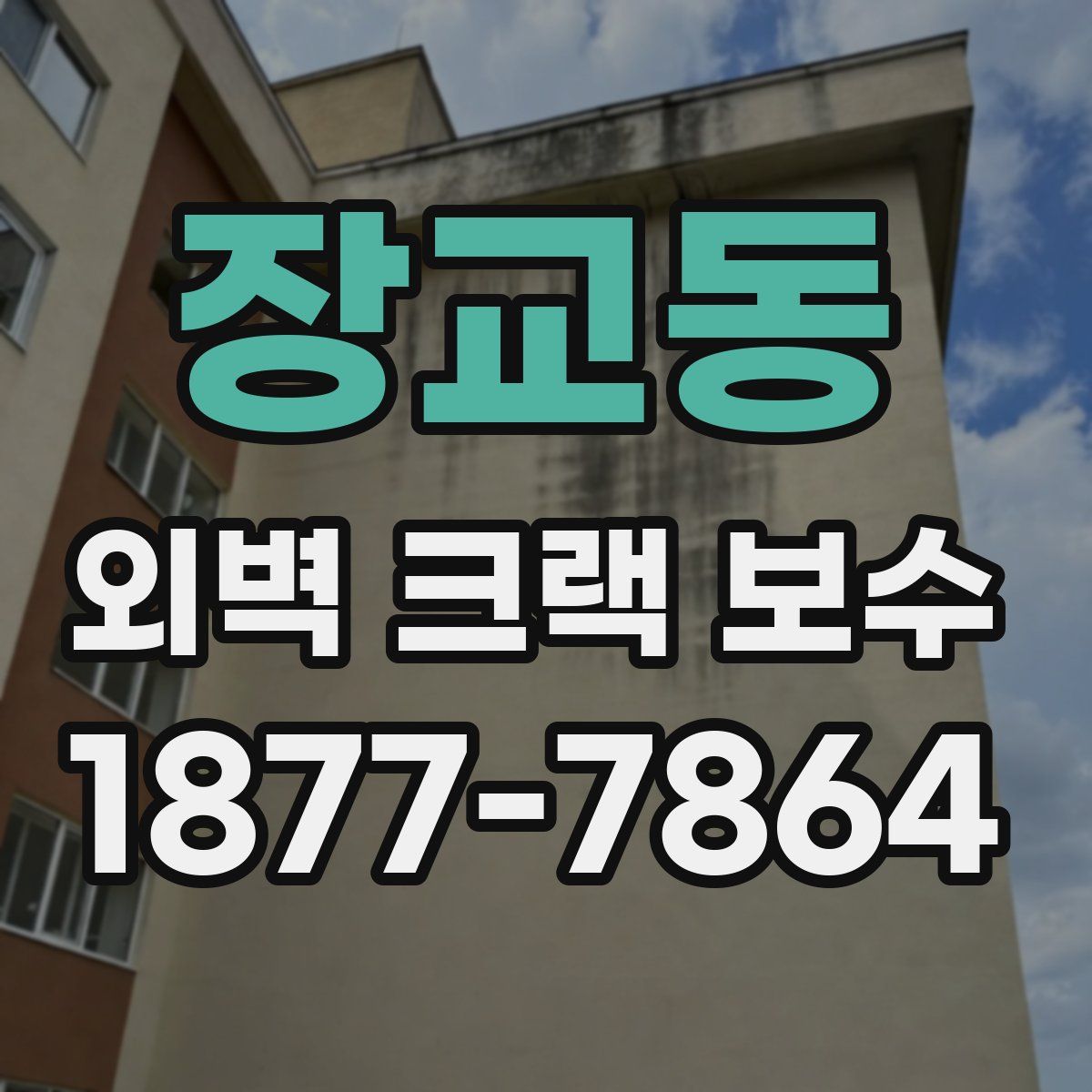 장교동 외벽 크랙 보수