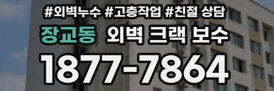 장교동 외벽 크랙 보수