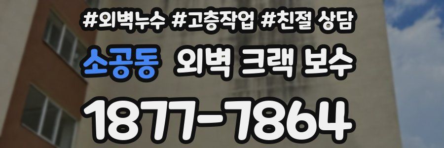 소공동 외벽 크랙 보수