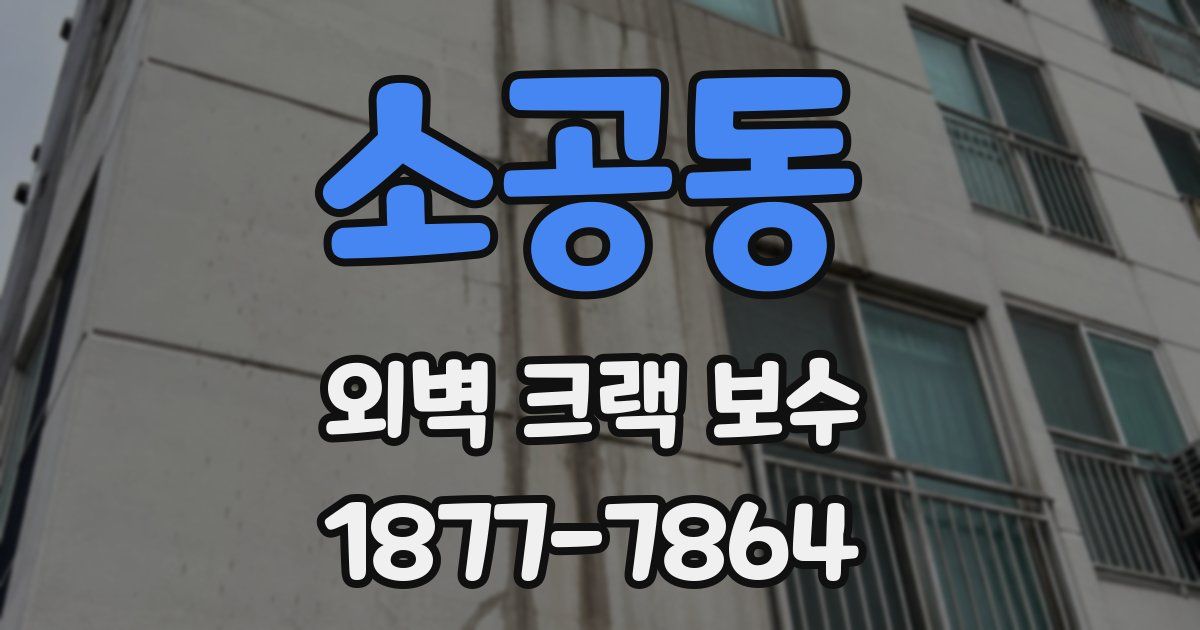 소공동 외벽 크랙 보수