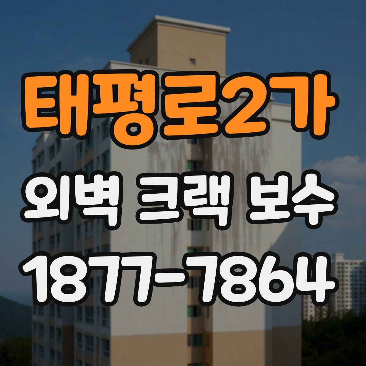 태평로2가 외벽 크랙 보수
