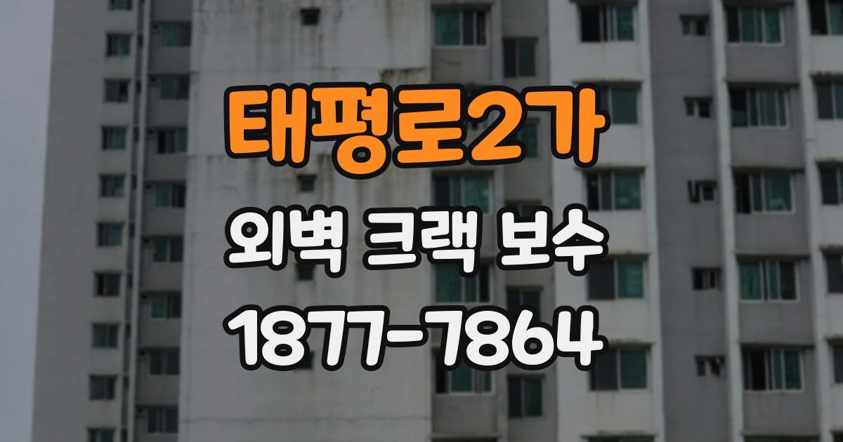태평로2가 외벽 크랙 보수