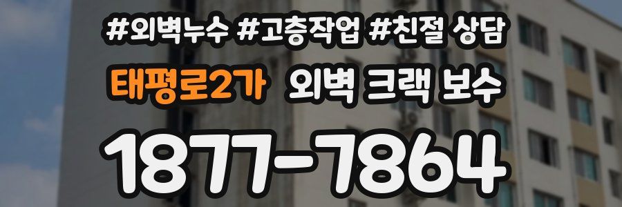 태평로2가 외벽 크랙 보수