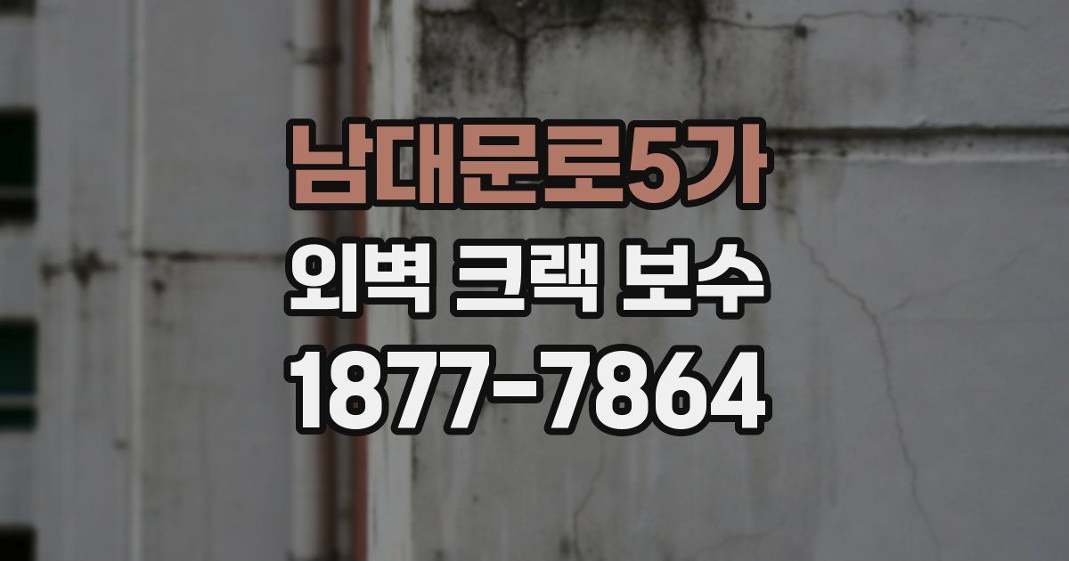 남대문로5가 외벽 크랙 보수
