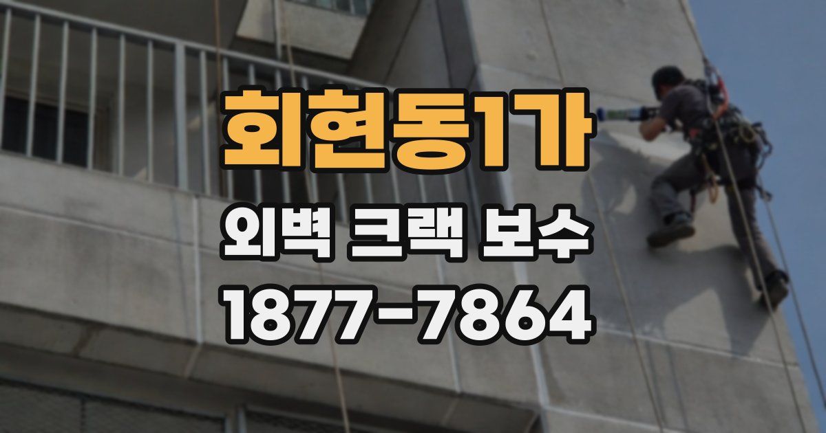 회현동1가 외벽 크랙 보수
