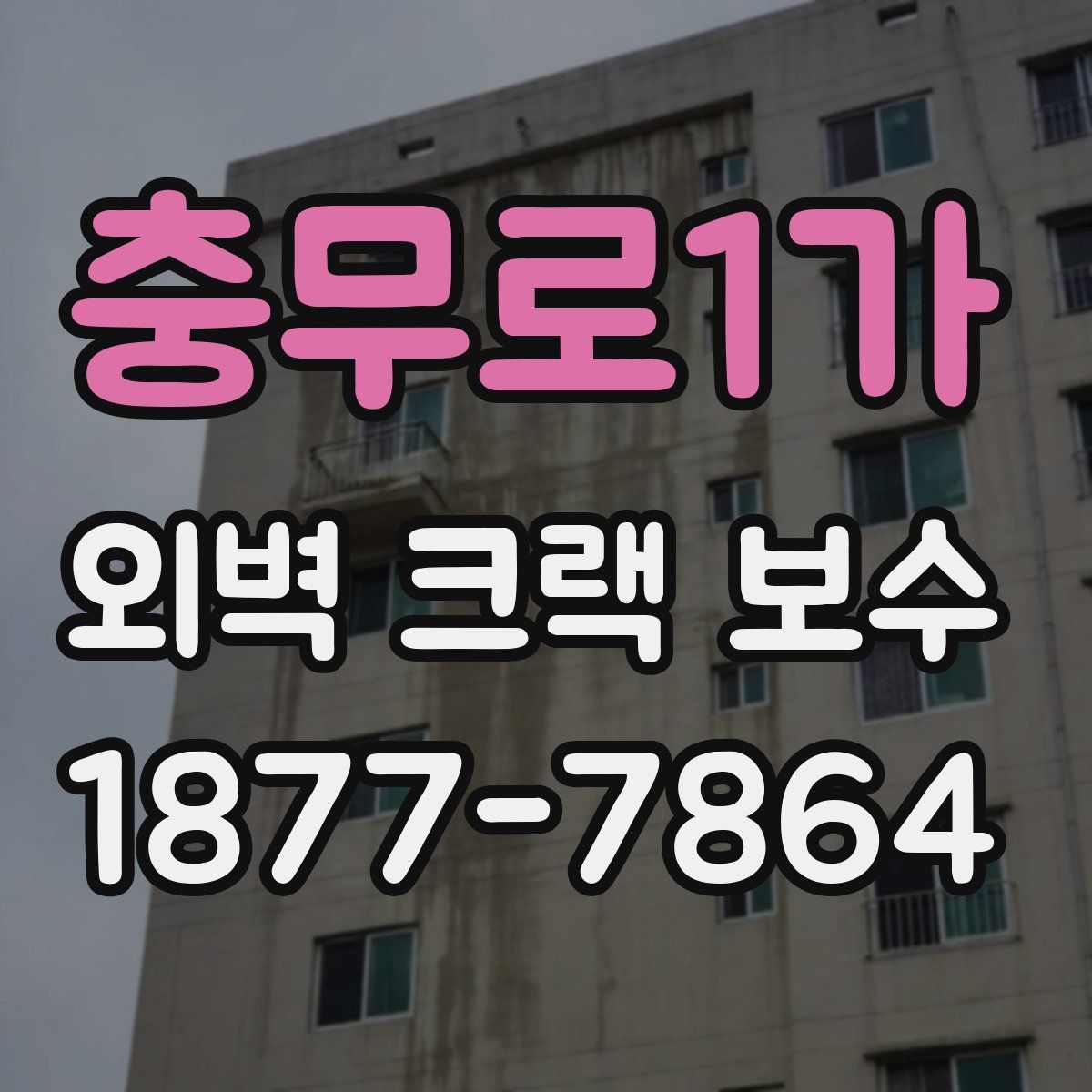 충무로1가 외벽 크랙 보수