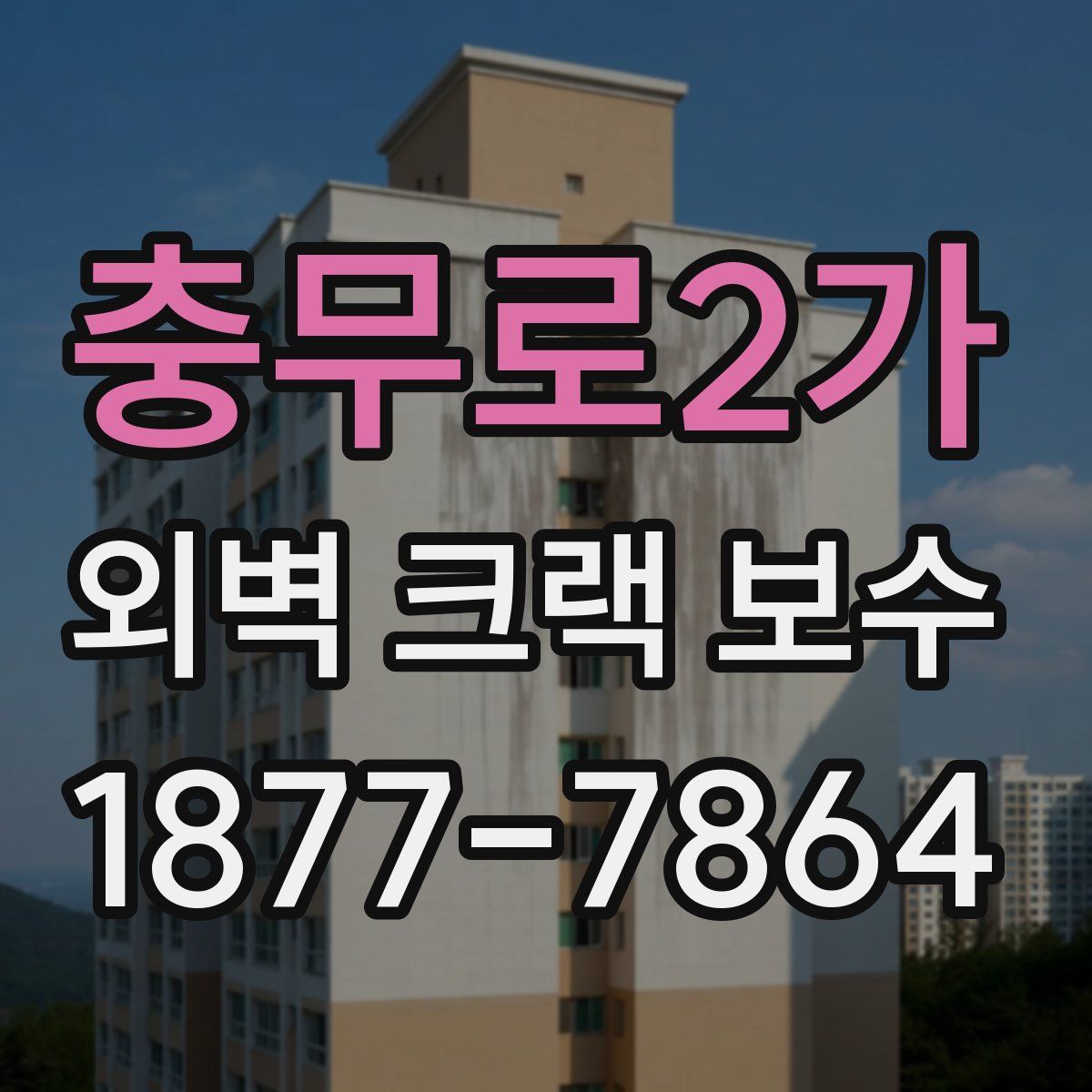 충무로2가 외벽 크랙 보수