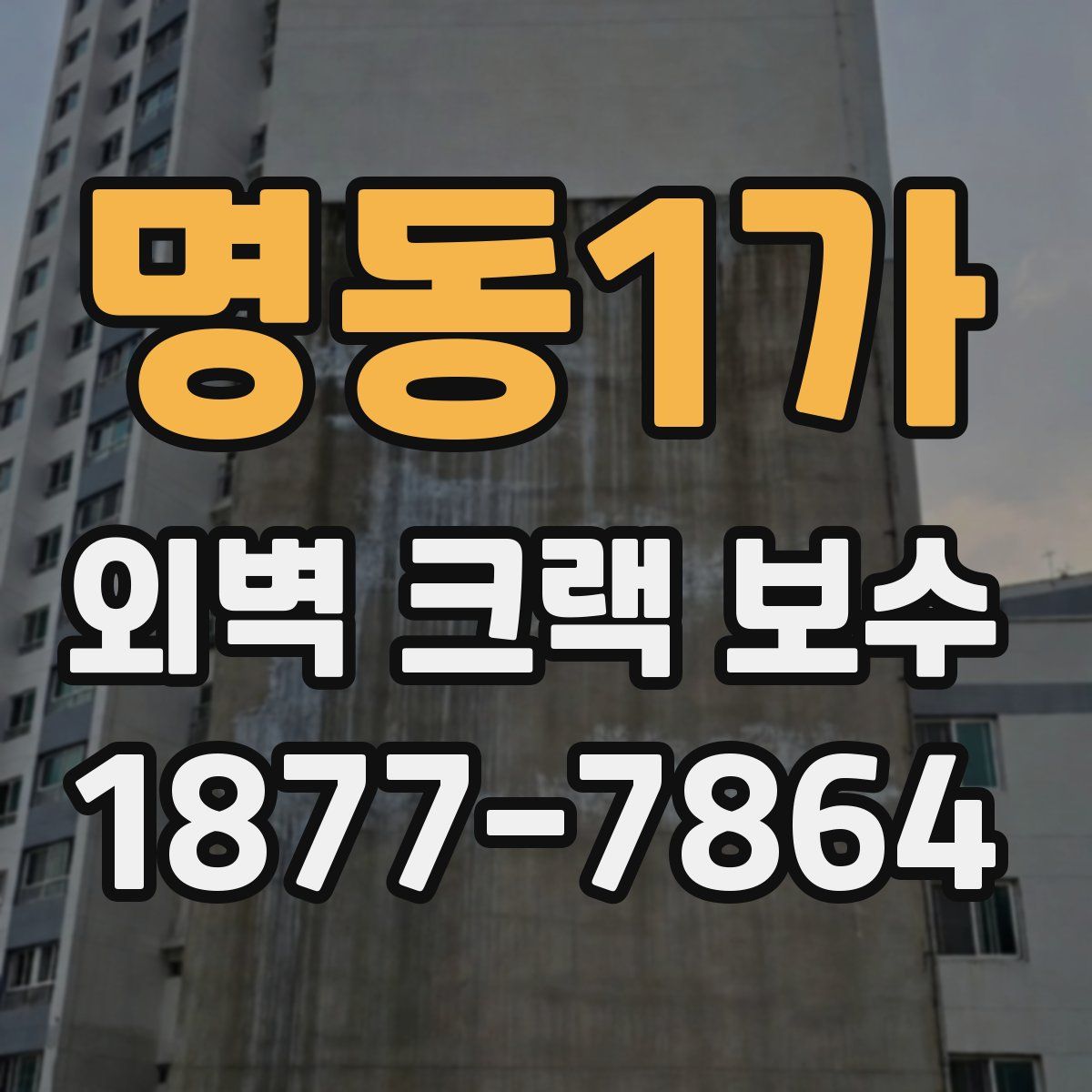 명동1가 외벽 크랙 보수