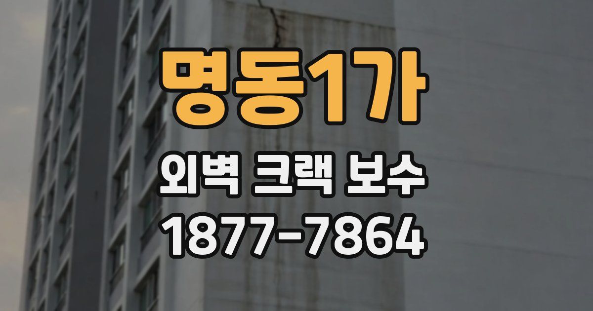 명동1가 외벽 크랙 보수