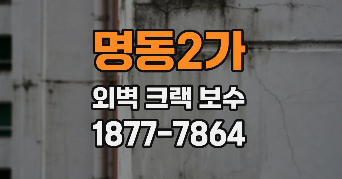 명동2가 외벽 크랙 보수