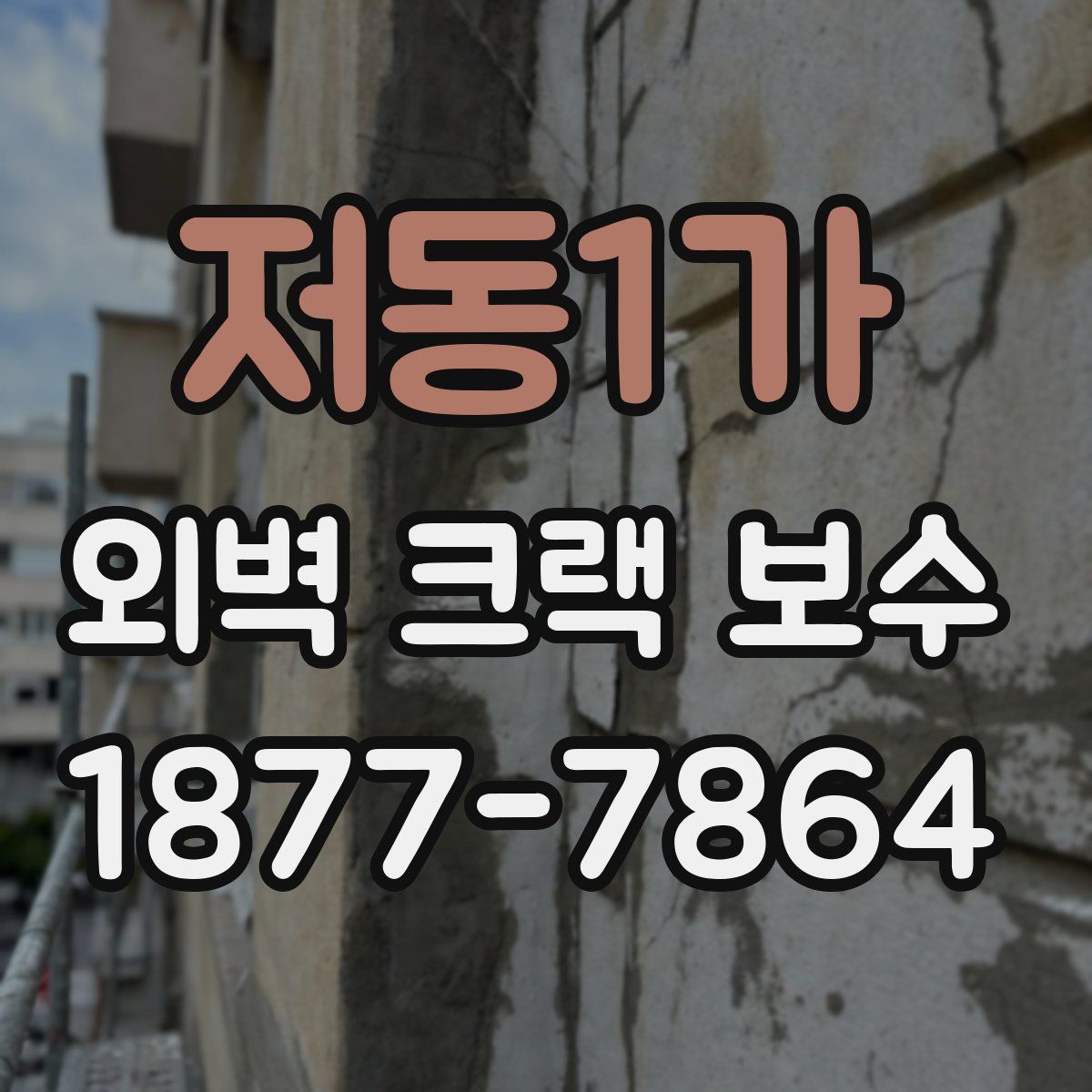 저동1가 외벽 크랙 보수