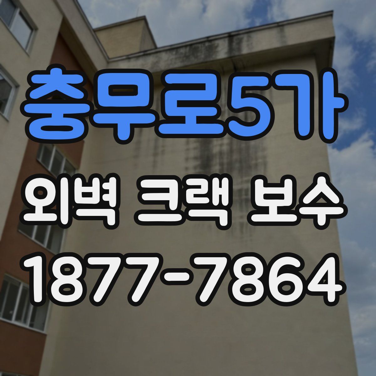 충무로5가 외벽 크랙 보수