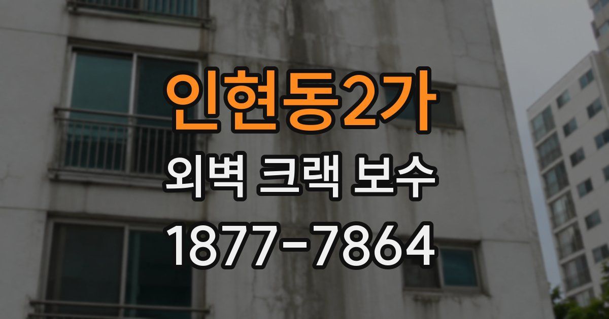 인현동2가 외벽 크랙 보수