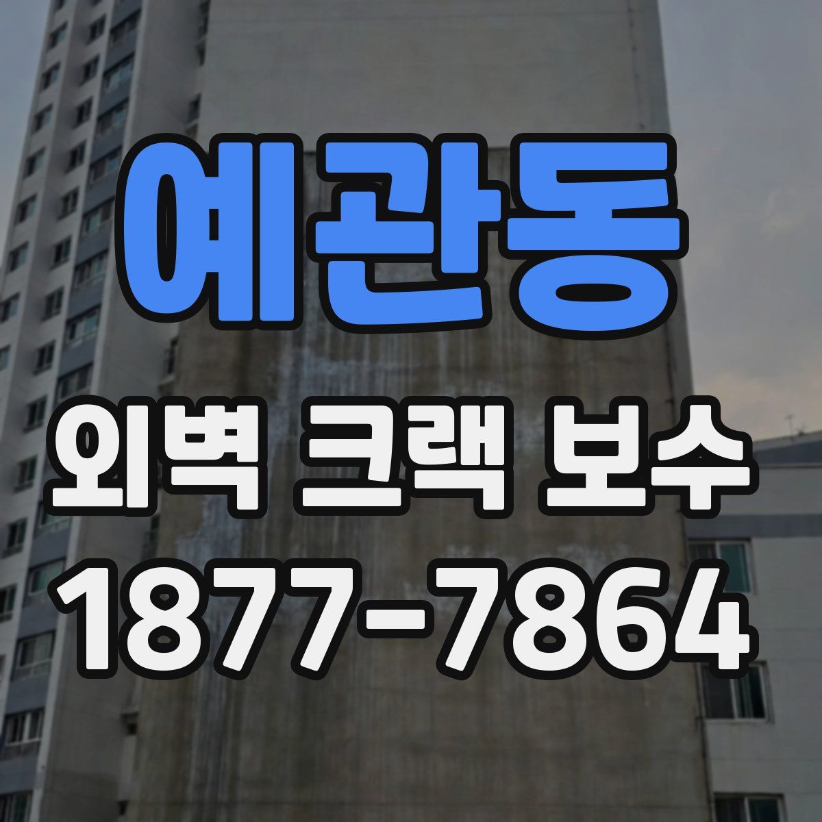 예관동 외벽 크랙 보수