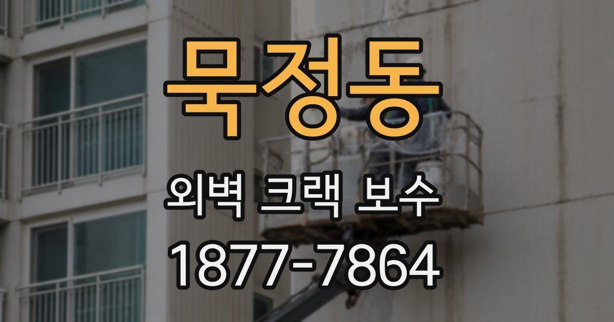 묵정동 외벽 크랙 보수