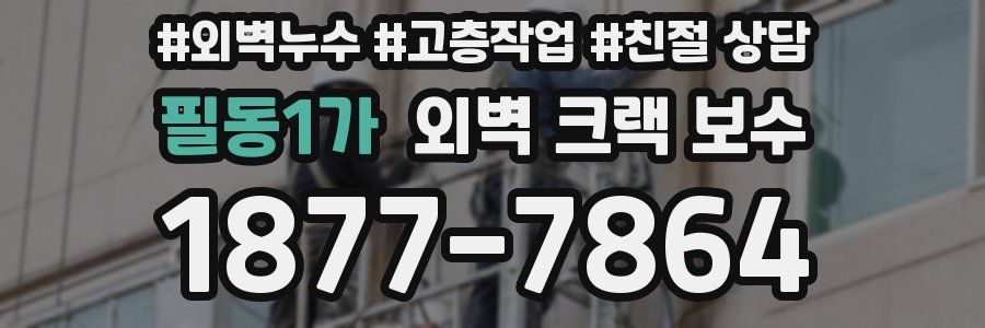 필동1가 외벽 크랙 보수