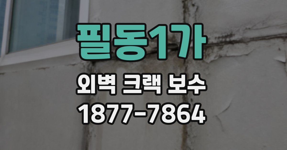 필동1가 외벽 크랙 보수
